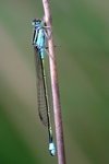 IMG_8062