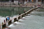 IMG_8210