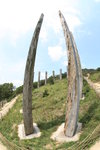 IMG_3130