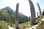 IMG_3131
