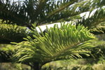IMG_3190