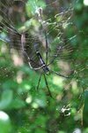 IMG_3447_resize