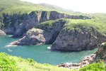IMG_3508_resize