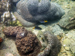 IMG_0181