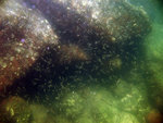 IMG_0191