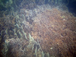 IMG_1032_800