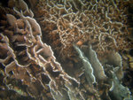 IMG_1033_800