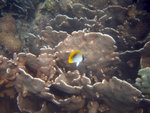 IMG_1034_800