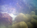 IMG_1042_800