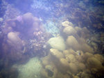 IMG_1046_800