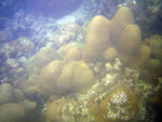 IMG_1051_800