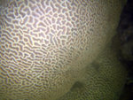 IMG_1052_800