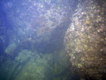 IMG_1057_800