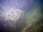 IMG_1058_800