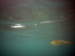 IMG_1081_800