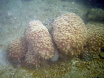 IMG_1090_800