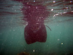 IMG_1094_800