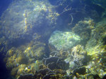 IMG_1101_800