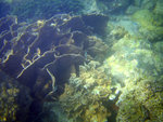 IMG_1102_800