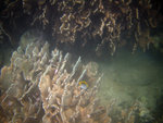 IMG_1107_800