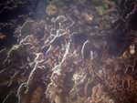 IMG_1109_800