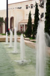 IMG_2482r