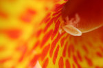 IMG_5190re