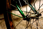IMG_5237re
