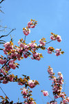 IMG_0406re_800