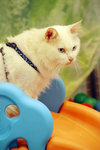 DSC_0050_crop