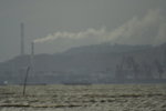 _MG_5356