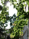 DSCN0264