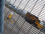 DSCN0280