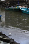 DPP_02003