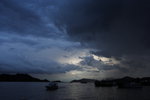 DPP_02601