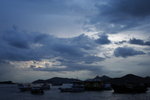 DPP_02610