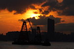 DPP_03256