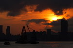 DPP_03263