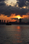 DPP_03265
