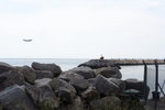 DPP_03329