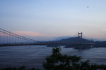 DPP_03407