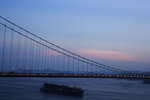 DPP_03420