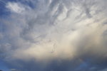 DPP_03551