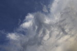 DPP_03552