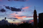 DPP_03565