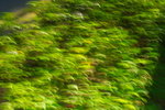 DPP_03778