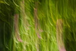 DPP_03783