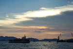DPP_03788