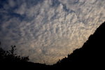 DPP_04119