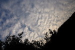 DPP_04120